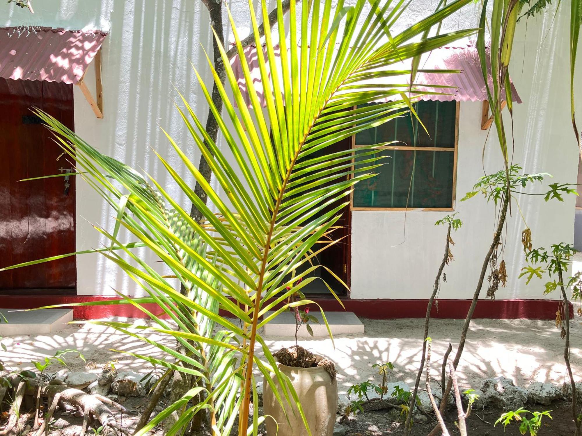 Mount Zion Lodge Michamvi 객실 사진